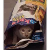 Katzenstreu