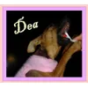 Dea