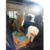 Carlitos y Romeo de viaje