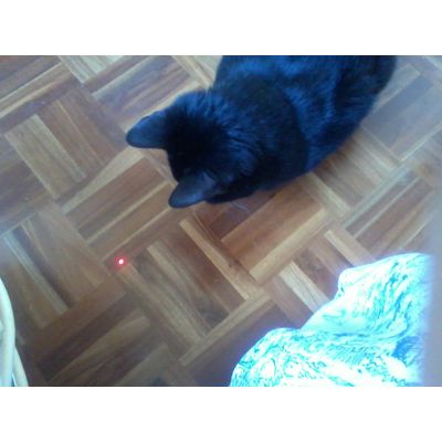 Negro como loco