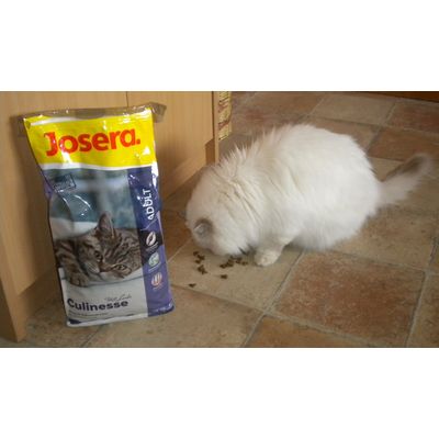 Pepa miluje Joseru
