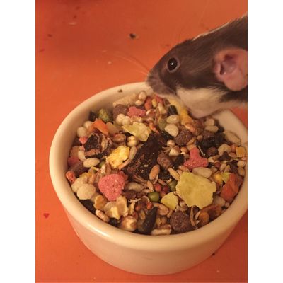 Hungryyyy