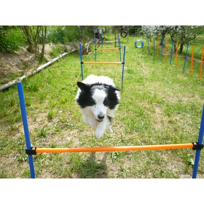 AGILITY