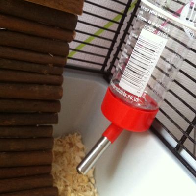 Trinkflasche