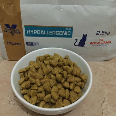 Hypoallergenic DR 25