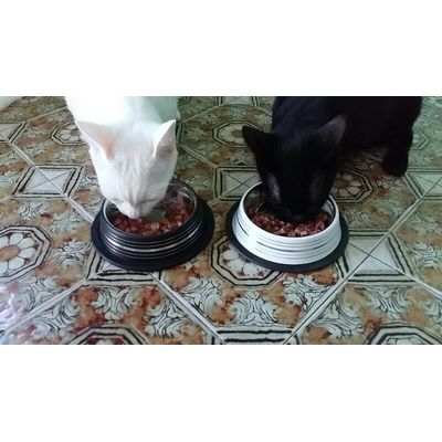 Milo e golia