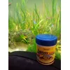 mes poissons et leur pastilles