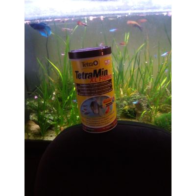 nourriture pour mes poissons