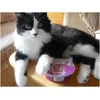 I love Whiskas
