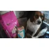 Jade en est ravie