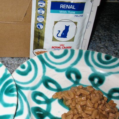 Nierendiaet Royal Canin Thunfisch Beutel