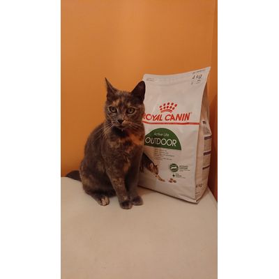 Kiara