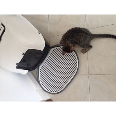 Nina fa il check del nuovo tappetino