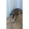 Ezio