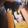 It is all mine 