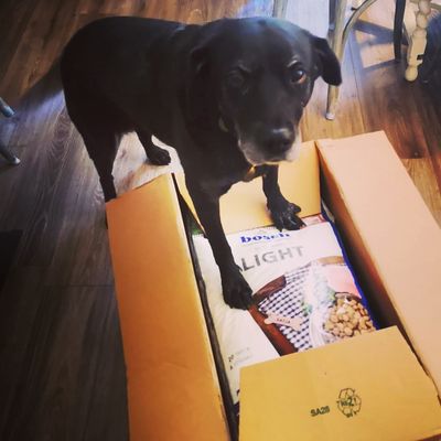 It is all mine