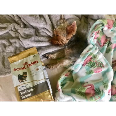 Pierwsza paczuszka od Zooplus