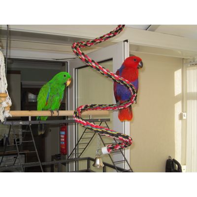 Rope Coil