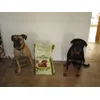 Harringtons dog food