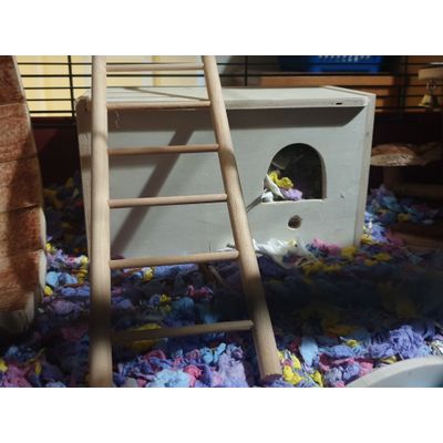 Lovely box for my hamster