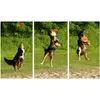 Frisbeejunkie