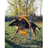 Agility karika