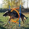 Agility karika