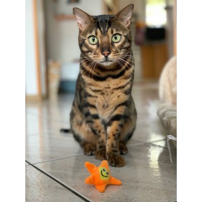 Shere Khan and his star