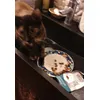 Giulietta mangia tutti i bocconcini