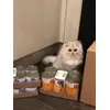 Baby Boo loving life