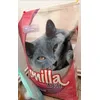Smilla 
