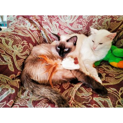 Neska y Mintxo