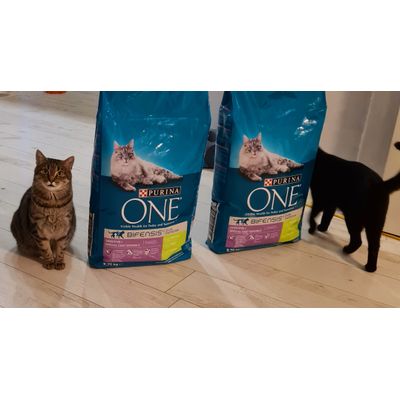 Purina One meine Katzen lieben es