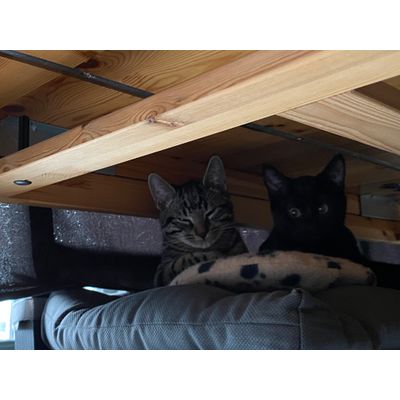 Smokey en Nadja