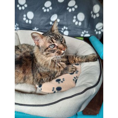 A Ariel adora a sua SnuggleSafe