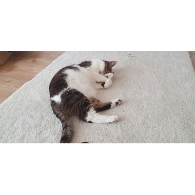 Kuschelzeit