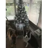 Kerst met Wolf of wildernes
