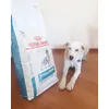 Igor ed i suoi croccantini ipoallergenici