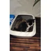 Uczymy sie