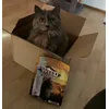 Das beste vom besten