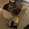 Das beste vom besten