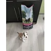 Staffi Kira