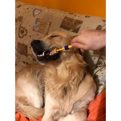Sorriso di Zeus