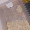 Cats Best Smart Pellets