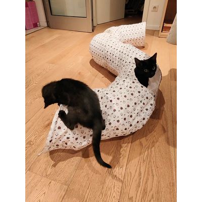 Donut serpent