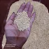 Super Benek Corn Cat