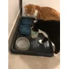 They just love it