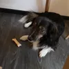 MIkki-2