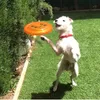 Discdog