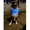 Collier lumineux 